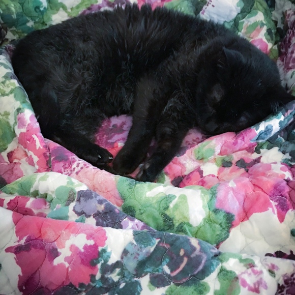 Meet your Posher, Jennifer - Picture 4 of 5